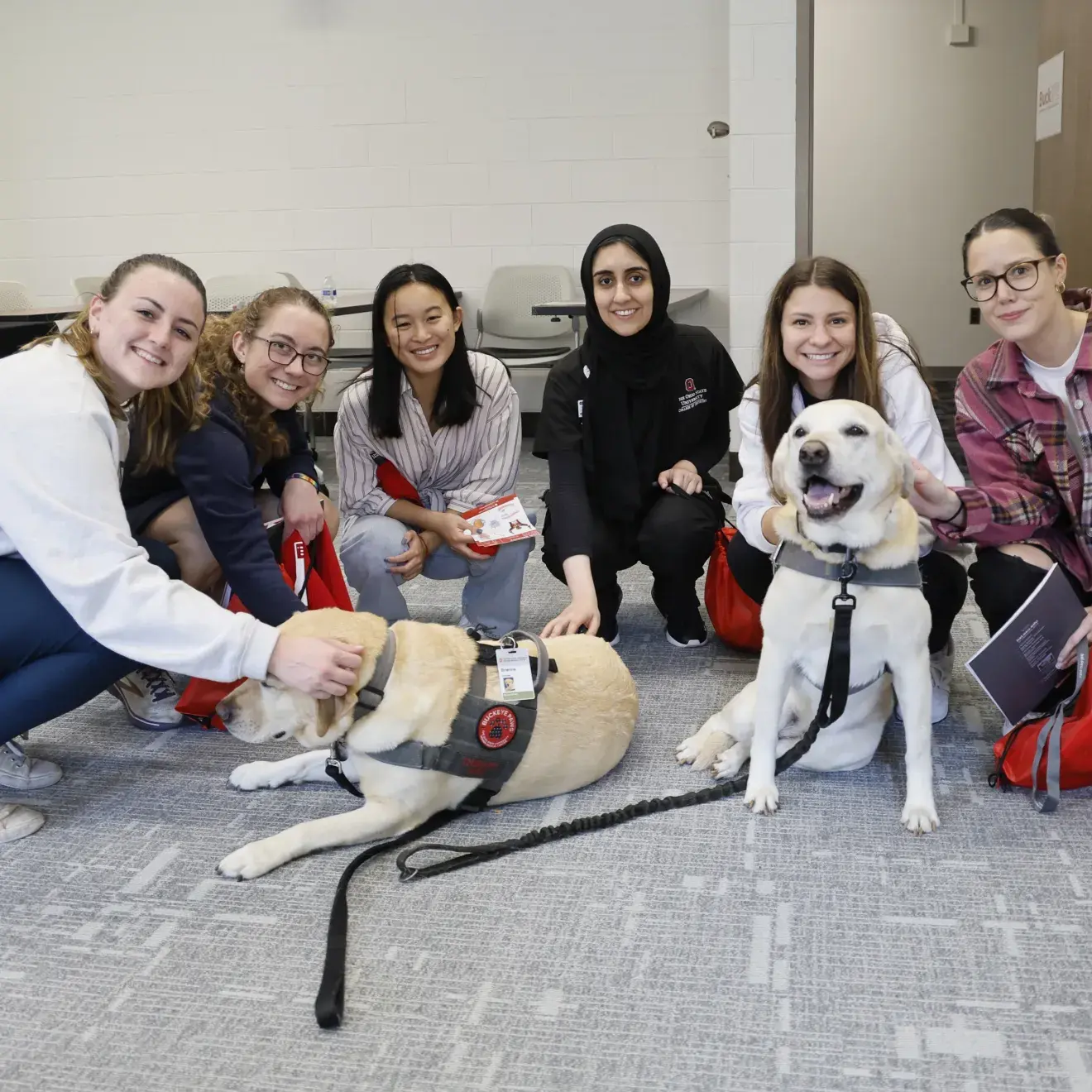 Students visit with Buckeye Paws therapy dogs
