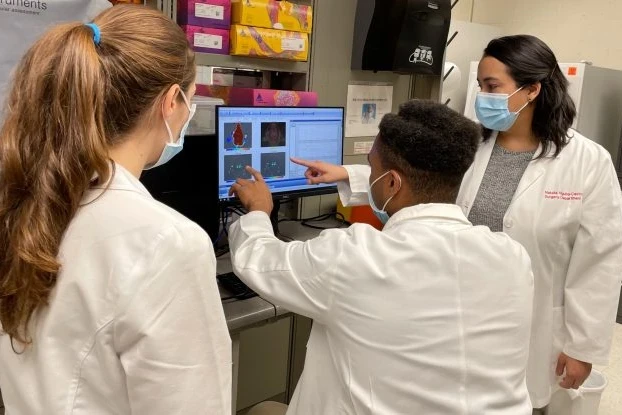 Group of students meeting around a computer screen