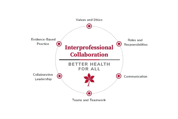 Interprofessional Collaboration Competencies diagram