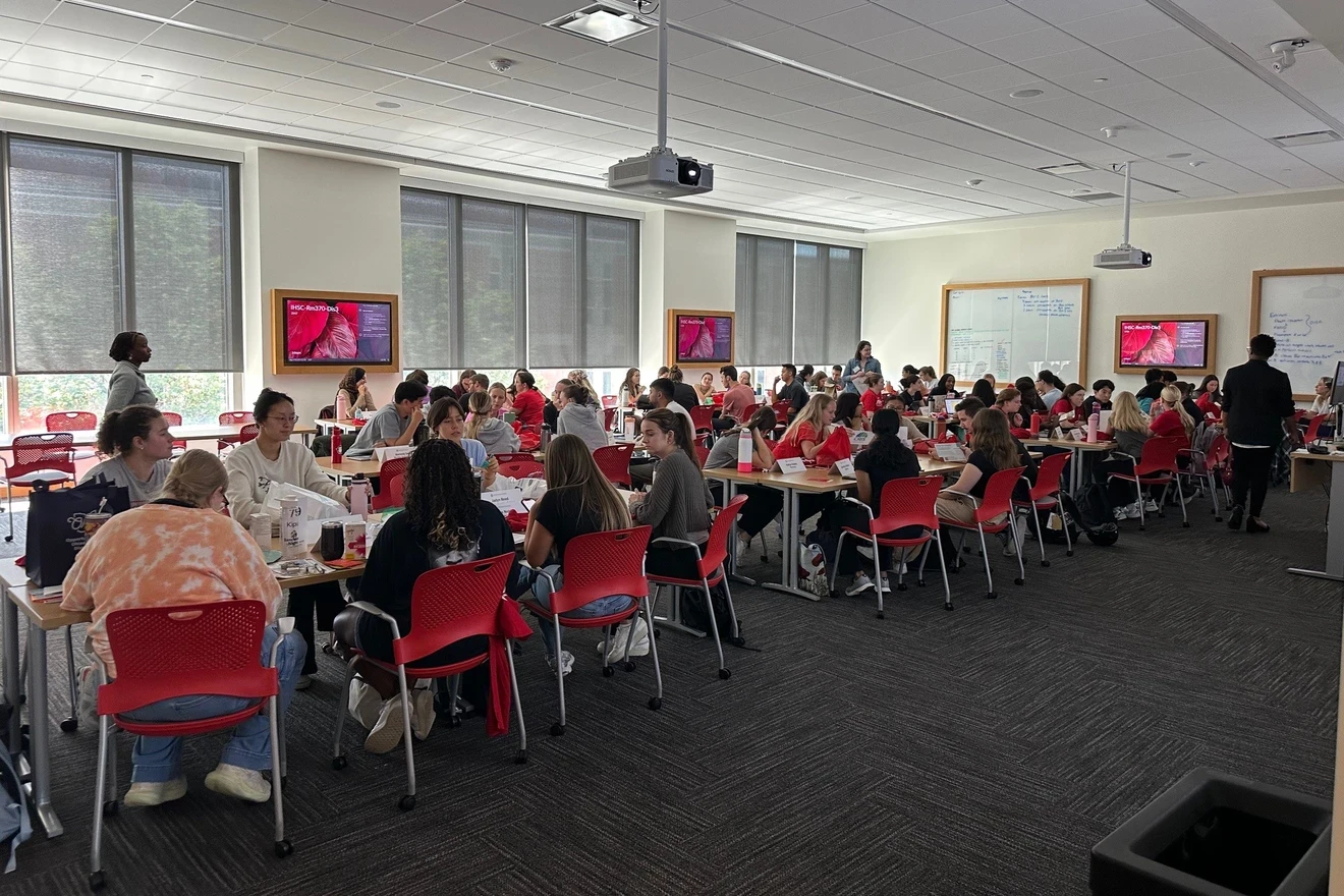 Learners sitting in a classroom