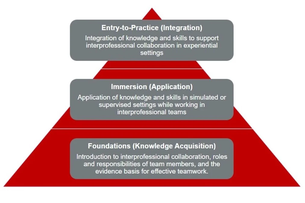A graphic titled “BuckIPE Curriculum” from The Ohio State University shows a red pyramid divided into three horizontal sections, representing stages of interprofessional education. At the base is “Foundations (Knowledge Acquisition)” with text: “Introduction to interprofessional collaboration, roles and responsibilities of team members, and the evidence basis for effective teamwork.” The middle section is “Immersion (Application)” with text: “Application of knowledge and skills in simulated or supervised se